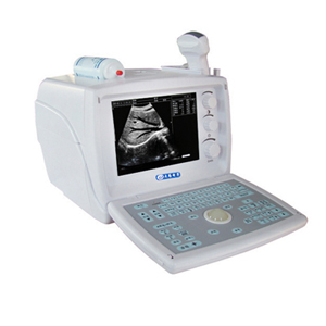 ��Я�ڰ�B��(����)