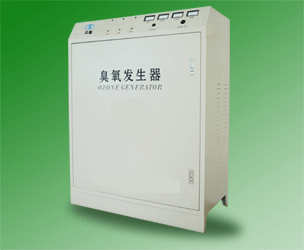 ��ˮ�����豸-����������������12t/h,����O3��10g/h��