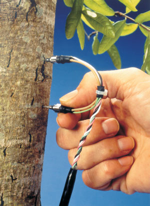 FLGS-TDP����ʽֲ�ﾥ����