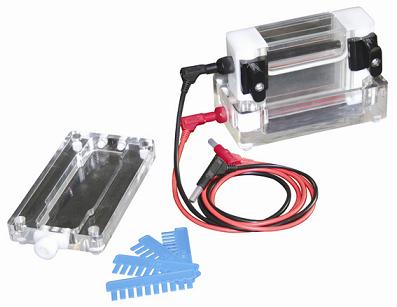 ˫�����㴹ֱ��Ӿ�� �ͺ�: wi298098