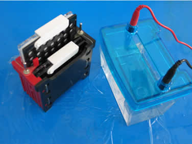 ��ת�Ƶ�Ӿ�� �ͺ�: wi143575