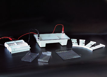 ��֬��ˮƽ��Ӿ��(ģ��С��) �ͺ�: wi143597