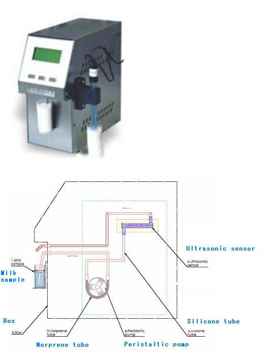 ţ�̷�����/�����