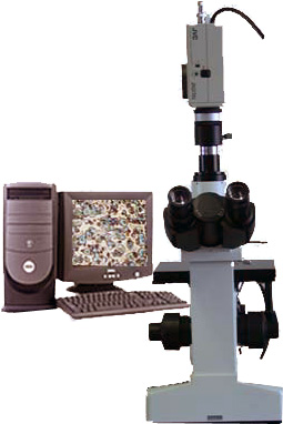 ��������Ŀ����ʽ������΢��