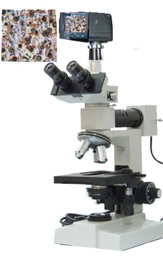 ��������Ŀ����ʽ������΢��