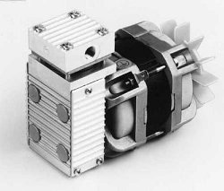 ֱ������΢����ձ�