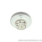 �����»���̽����