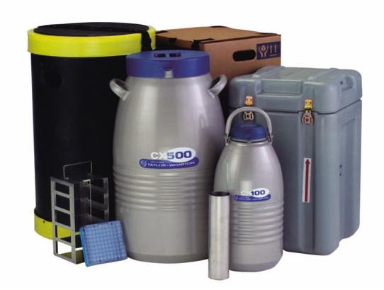 ��Яʽ�����