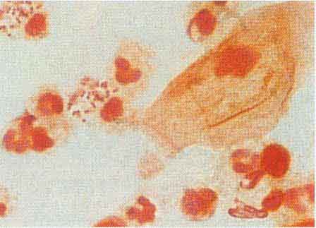 ����̩�ճ棨������-2��