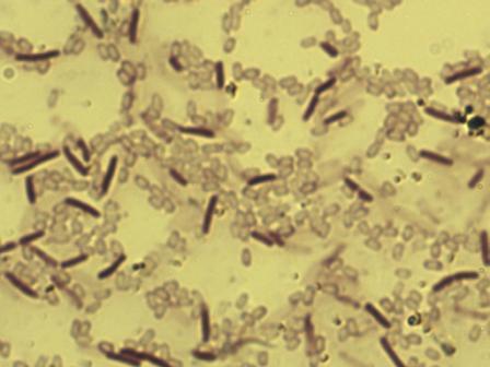 ���Ͱ��������