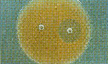 �������������