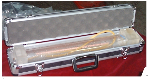 �ؿ���˹������