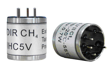 A ������鴫����