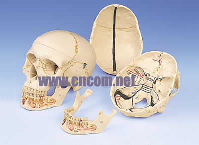 �¹�3B�������ģ��-����­ģ�ʹ��п������ �ͺ�:M323941