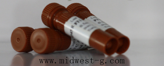 ��ʽϸ����ר���Լ�/������/CD2 (LFA-2) 12-15 �ͺ�:m320179 ��ţ�M320179