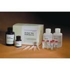 С��ϸ��������D3��Cyclin-D3��ELISA�Լ���