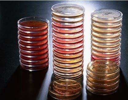 ����BD 256110�����Ľ�Һ