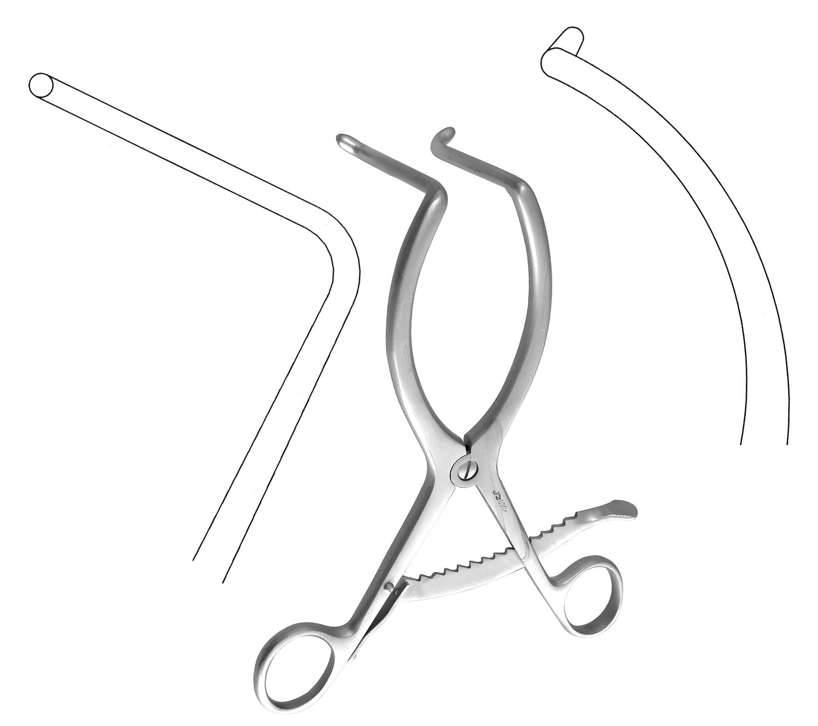 �ǿƶ���ǣ����