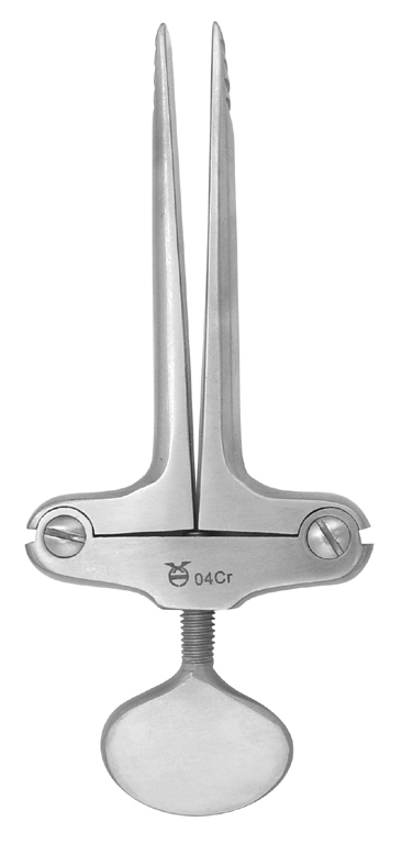 �ǿ�������Ƥ�ʿ�����