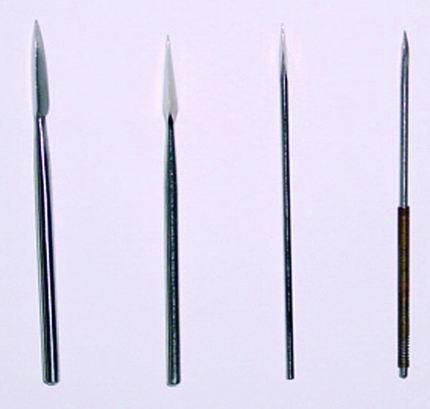 �ǿ�������