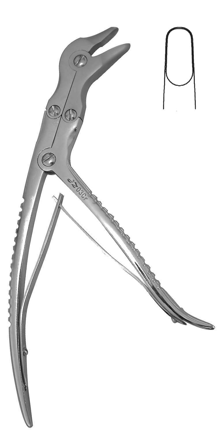 �����˫�ؽں�­��ҧ��ǯ