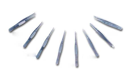 �����ǹ�ͽ�����