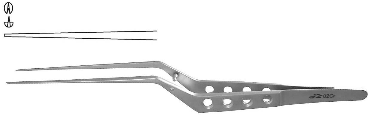 �����ֱ����Ĥ��