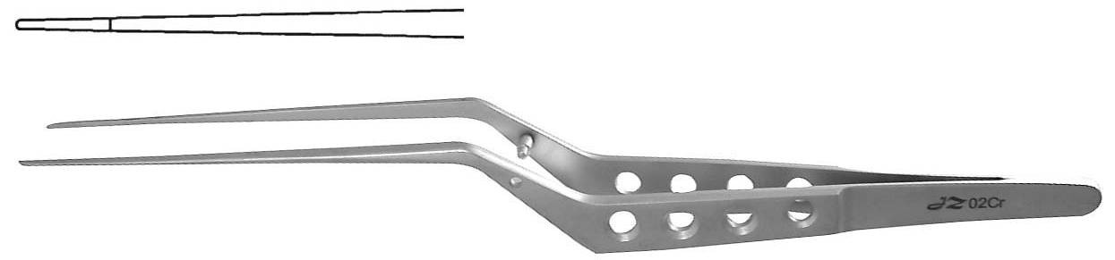 �����ǹ����Ĥ��