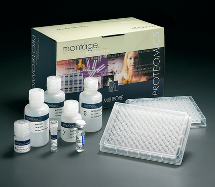 ����(Rat)��ϸ������-12 IL-12 ELISA�Լ���