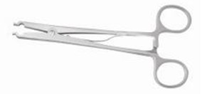 �����ͷƤ��