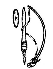 ����ƹ�����