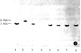 Tca-8113���۰�ϸ��