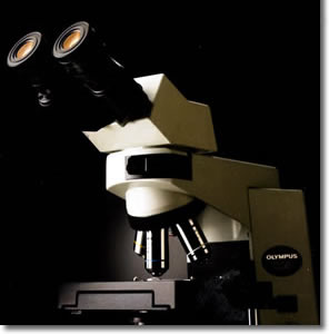 日本OLYMPUS系统生物显微镜CX41-72000-2