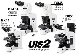 日本OLYMPUS系统显微镜BX51TR-32000-2