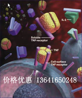 �����������Լ�ø4����