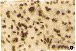 HT-3���ӹ�����ϸ��