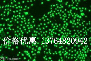 Ѫ��������-1����