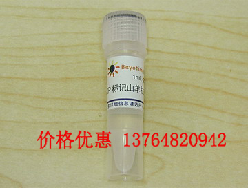 ӫ���ر��ˮͨ������-1����IgG