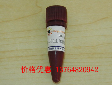 �����ữp21���ø2����