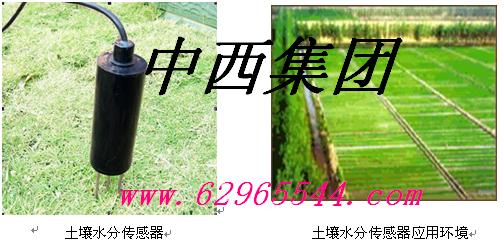 �Զ�����ˮ�ֹ۲���/����վ