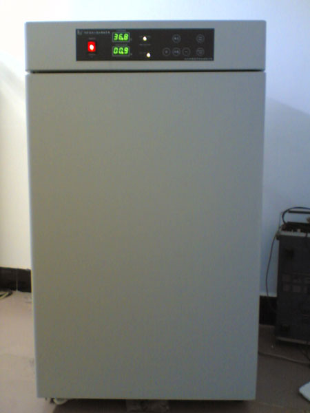 ������̼������