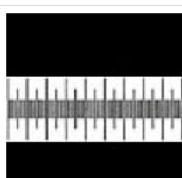 �ﾵ��΢��