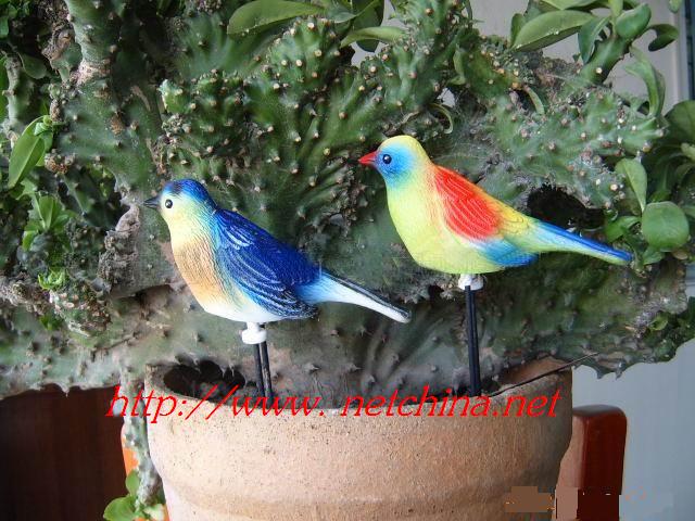 ����̽ʪ��