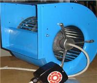 �¹���ɭROSENBERG���