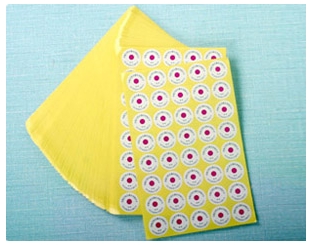 �������������ѧָʾ��