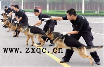 A��Ȯ-�Ѿ�Ȯ��һ�����ϣ����й��� �ͺ�: