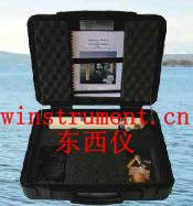 ��Яʽ��������