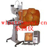 ӫ���۵���Ӱ��