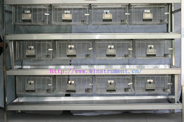 ����/������