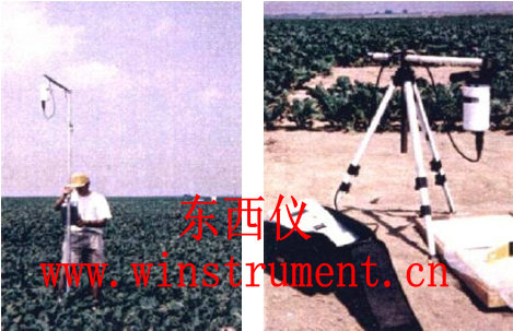 ���ﲨ����